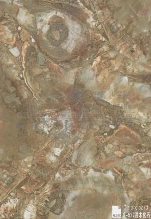 大理石紋轉印膜-S537淺木化石